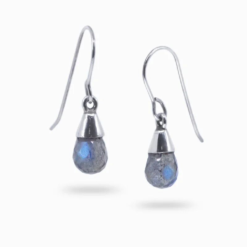 Labradorite Drop Earrings