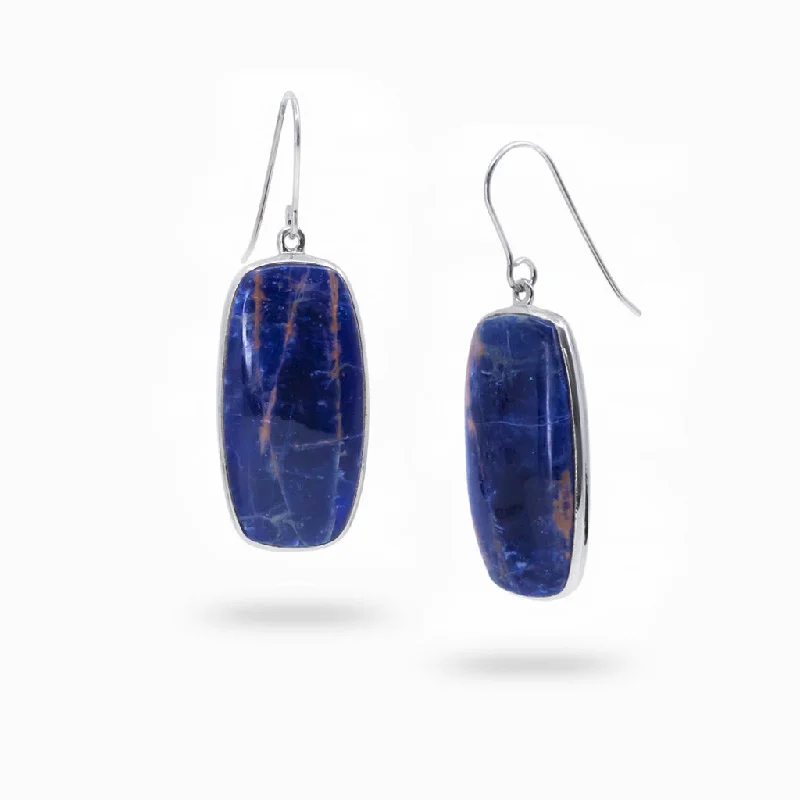 Sodalite Drop Earrings