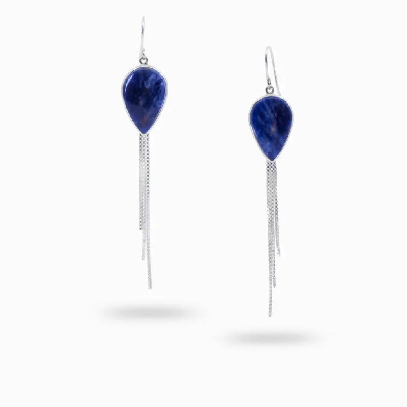 Sodalite Drop Earrings